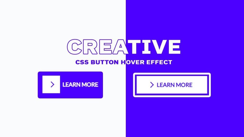 Advanced Button Hover Animations