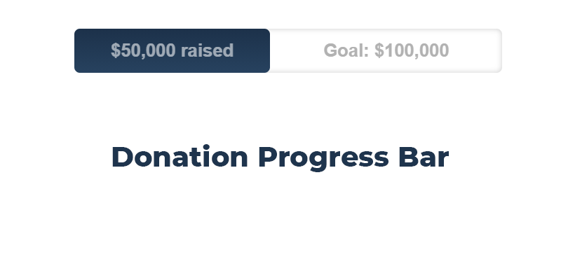 Donation Progress Bar