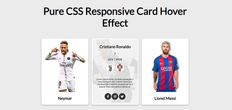 Responsive Card Hover Effect image