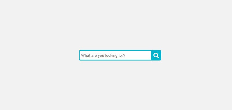 Simple HTML Search Bar image