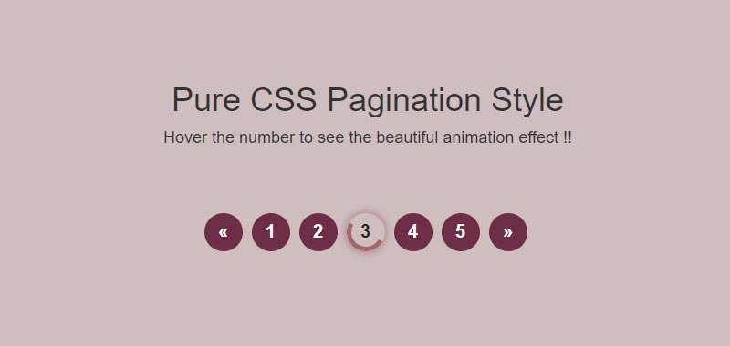 Beautifully animated Pagination