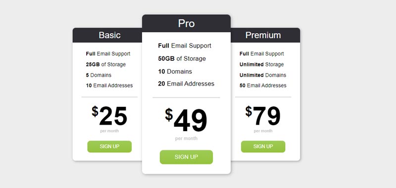 Professional pricing table