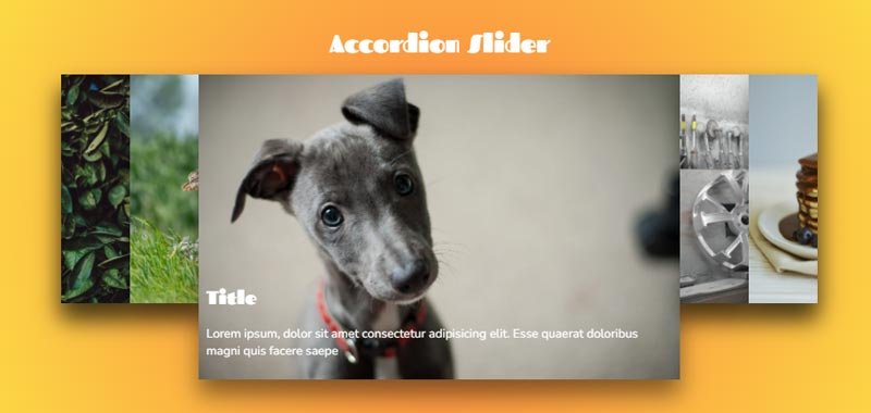 Animated Image Accordion Slider
