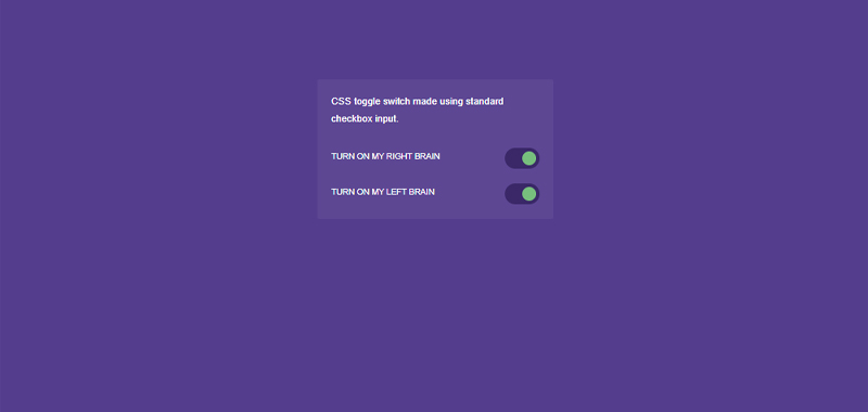 CSS toggle switch using a checkbox input