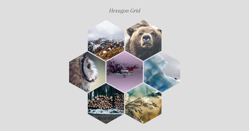 Hexagon Image Grid CSS 