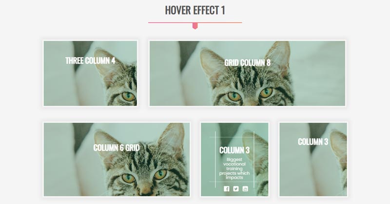 Image Gallery With Hover Effect