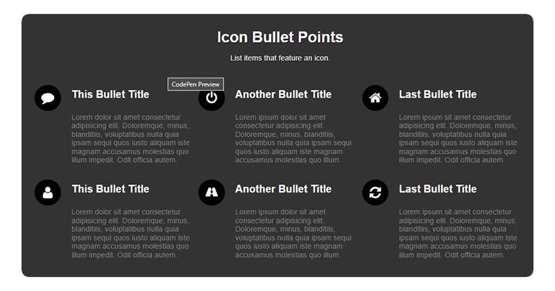list items Icon Bullet Points