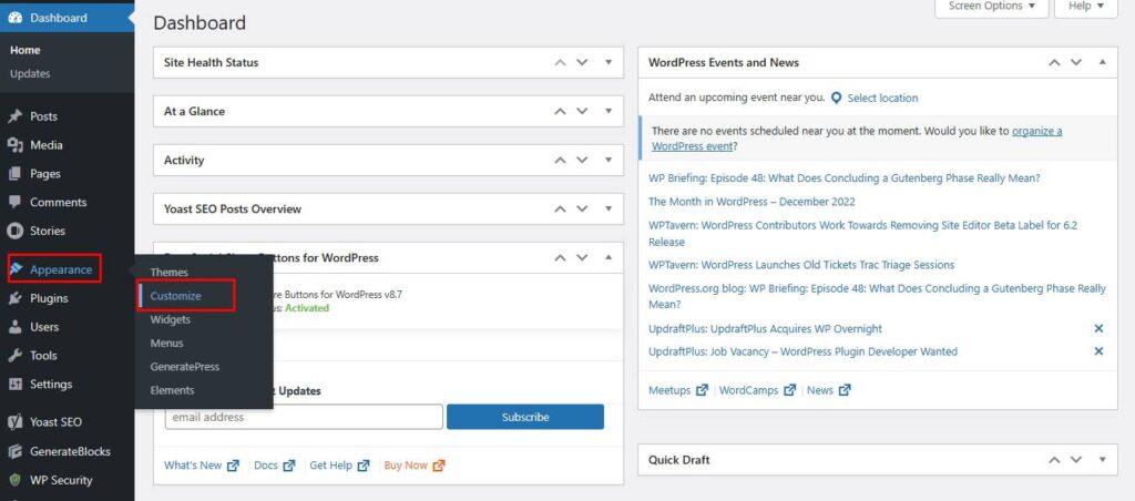 WordPress customize setting